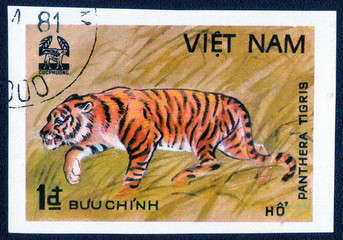 VIETNAM - CIRCA 1981 