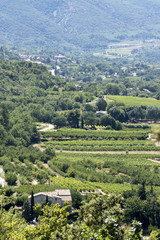 Fototapeta na wymiar aerial view, landscape in South Europe, vertical