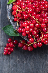 Fresh ripe redcurrant fruit on wooden table