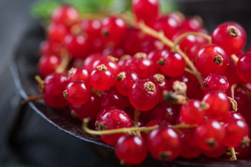 Fresh ripe redcurrant fruit on wooden table