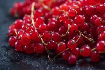 Fresh ripe redcurrant fruit on slate background