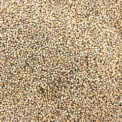 a lot of coriander seed for background uses