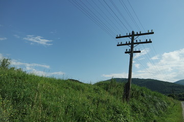 Transmission pole