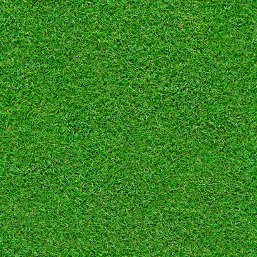 Seamless green grass background