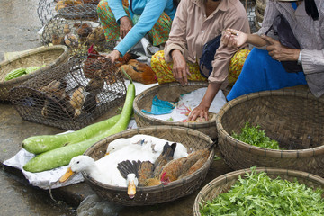 Pultry and produce for sale at the public market.Hoi An, Vietnam