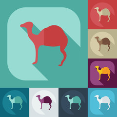 Flat concept, set modern design with shadow camel