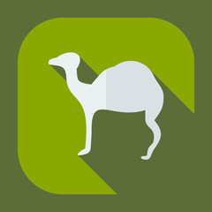 Flat concept, set modern design with shadow camel
