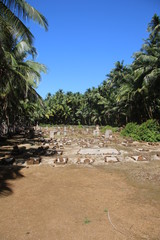 Guyane - Les îles du Salut - Aout 2015