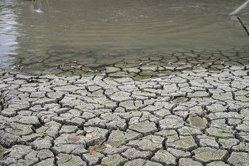 Crack soil and water