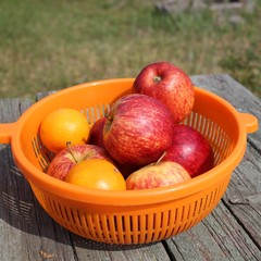 Яблоки и мандарины в пластмассовой посуде.