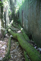 Guyane - Îles du Salut - Août 2015