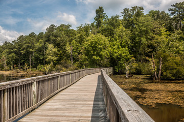 Bridge over swamp in Newport News Park, Newport News, Virginia