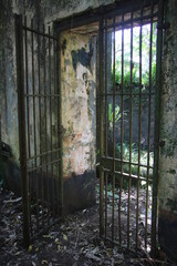 Guyane - Îles du Salut - Août 2015