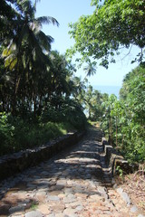 Guyane - Îles du Salut - Août 2015