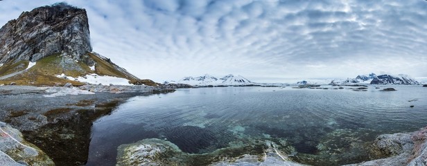 Arctic spring in south Spitsbergen