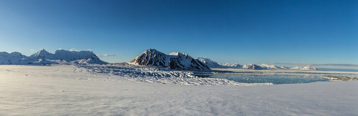 Arctic spring in south Spitsbergen