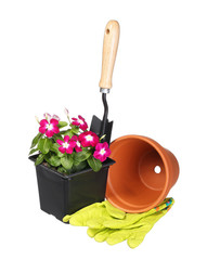 Garden tools and flowers with pot and gloves isolated on white b