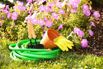 Garden tools on green grass in garden with flowers