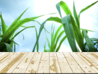 Wood table top on corn leaves blurred background