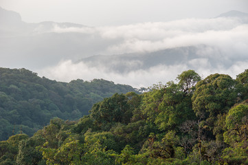 Obraz premium Rainforest Intanon National Park