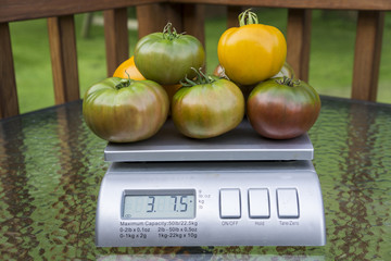 Tomatoes On Produce Scale