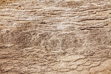 Texture With Layers of Calcium Carbonate