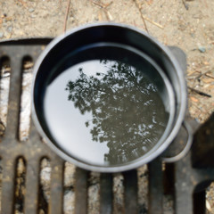 Tree Reflection in Pot of Water Sitting on Campfire Grate