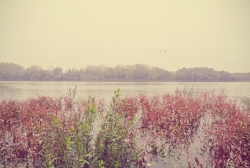 Bleak autumn landscape on the river, on a cloudy, foggy, rainy day. Image filtered in faded, washed out, retro, Instagram style with red filter; vintage autumn concept.