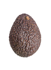 avocado fruit