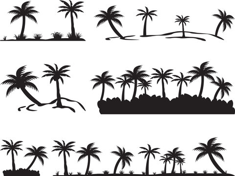 Tropical islands isolated on white