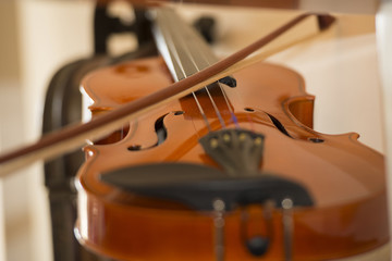 Violine. Geige