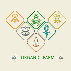 Logo design template agriculture and organic farm.  Abstract line icons elements and badge for food industry. Outline monograms nature symbols. Concept for organic shop. Vector illustration