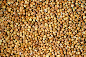 Coriander Seeds