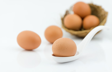 fresh egg on white spoon isolated on white background