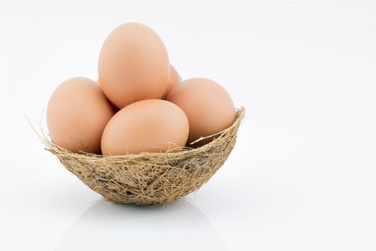 fresh egg on nest isolated on white background