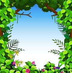 Fototapeta premium beauty green forest