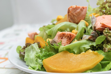 salmon salad