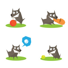 Collection of a four funny dogs