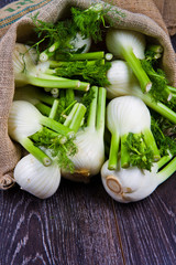Fresh fennel on wooden background © Lsantilli