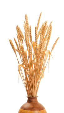 Wheat stem