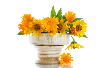 bouquet of flowers with summer daisies