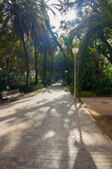 Fototapeta premium paths to stroll through the gardens of the Parque de Malaga, Spa