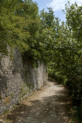 Fototapeta premium Dvigrad, medieval town in central Istria, Croatia.