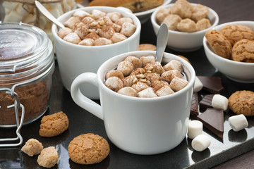 cocoa with marshmallows and cookies