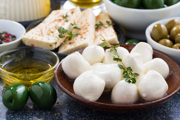 Fresh mozzarella cheese on a plate