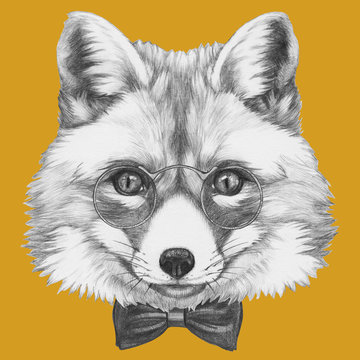 Original drawing of Fox with glasses and bow tie. Isolated on colored background.