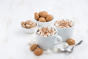 two cups of flavored cocoa with marshmallow and cookies on white