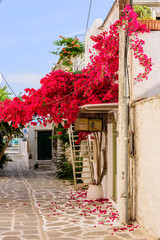 street in the old town of Parikia, Paros island, Cyclades, Greece.
