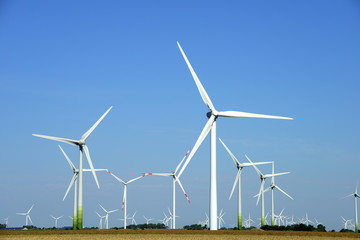 Fototapeta premium Windräder