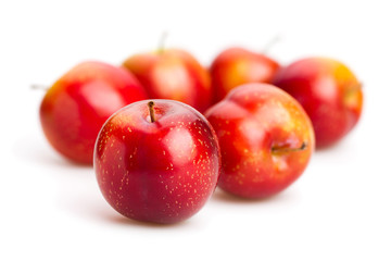 red plum